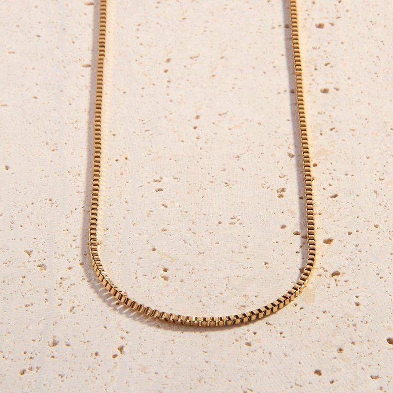 Cleo Chain Necklace
